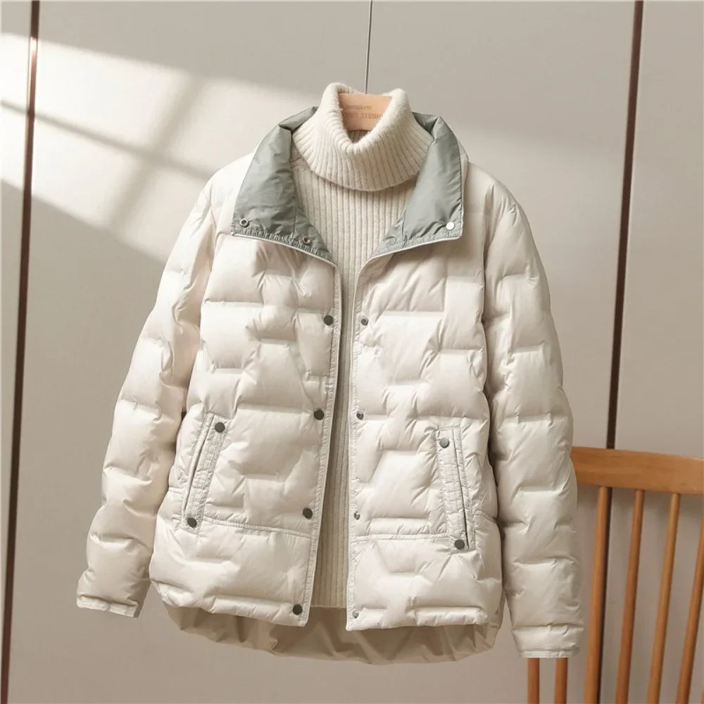 Armonia Luce Moda